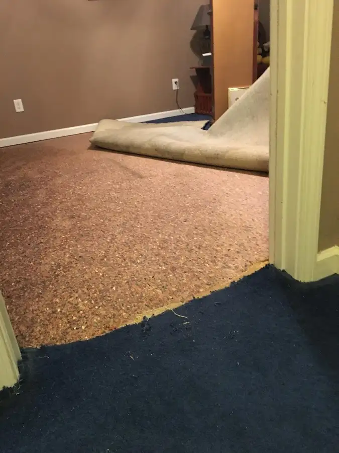 Carpet pad removal revealing water damage during Drying & Dehumidification in New Whiteland