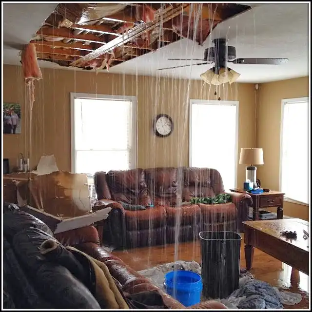 Water Damage Restoration services in New Whiteland, IN