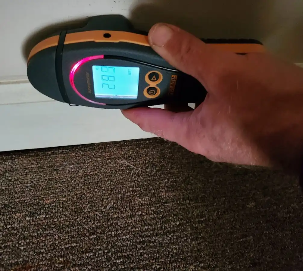 Moisture detection at baseboard during Storm Damage Restoration in New Whiteland